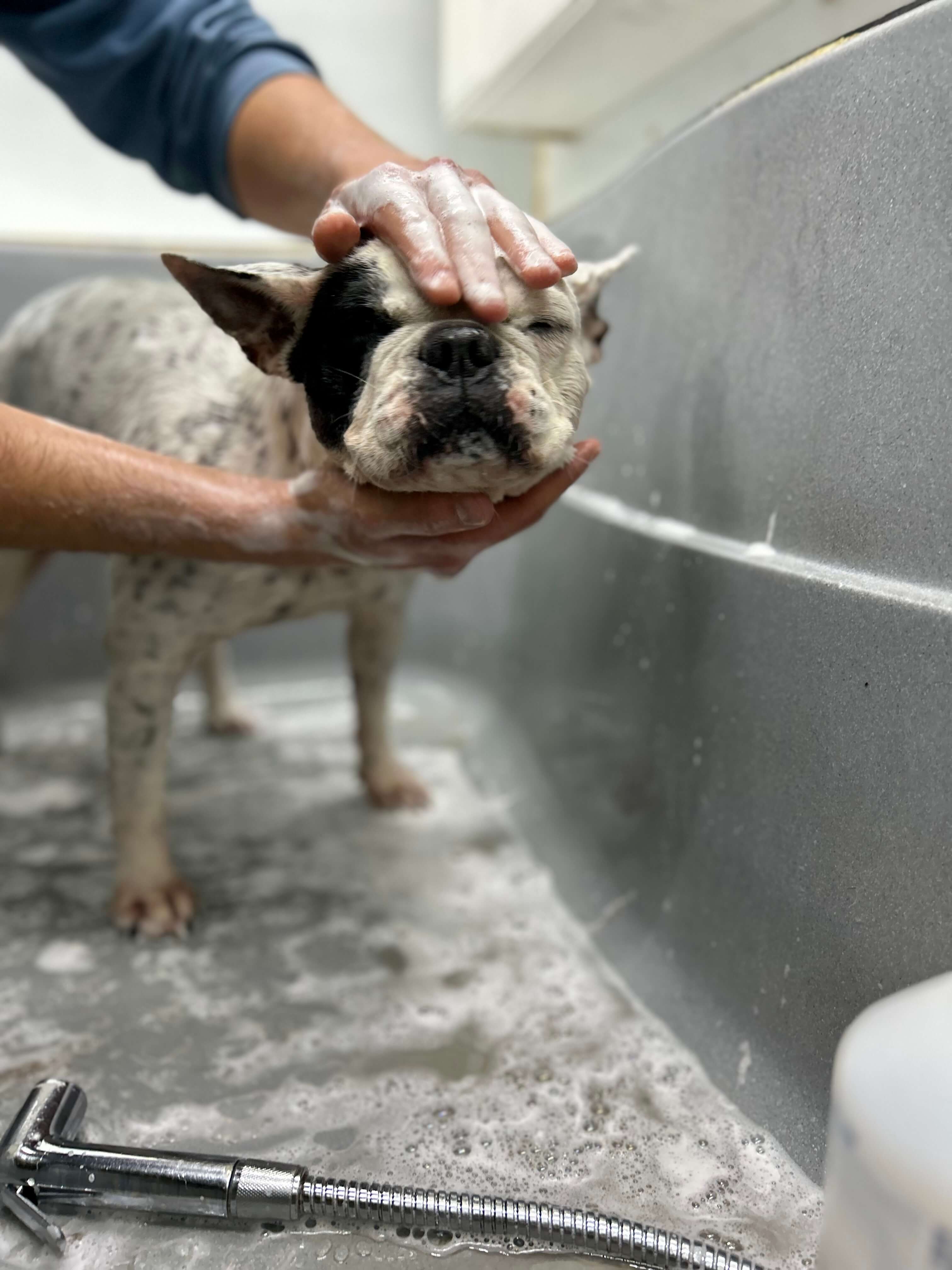 Wash 4